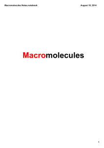 Macromolecules Notes.notebook