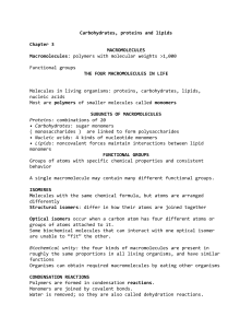 Carbohydrates, proteins and lipids Chapter 3 MACROMOLECULES