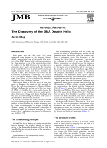 The Discovery of the DNA Double Helix