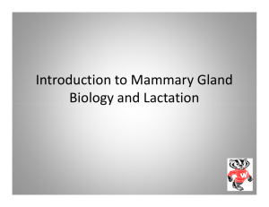 Introduction to Mammary Gland Biology and Lactation