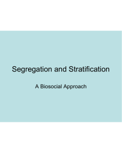 Segregation and Stratification