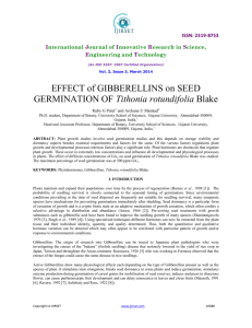 The effect of gibberellins on seed germination of Tithonia