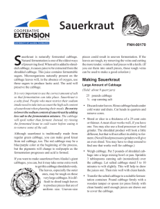 Sauerkraut - University of Alaska Fairbanks
