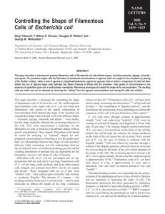 Controlling The Shape Of Filamentous Cells Of Escherichia Coli