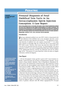 Prenatal Diagnosis of Fetal Umbilical Vein Varix in An