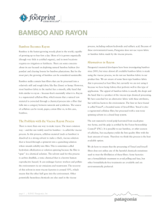 bamboo and rayon