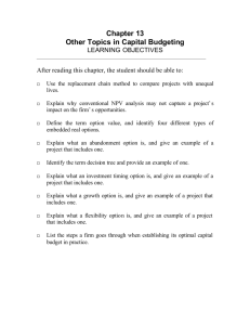 Chapter 13 Other Topics in Capital Budgeting