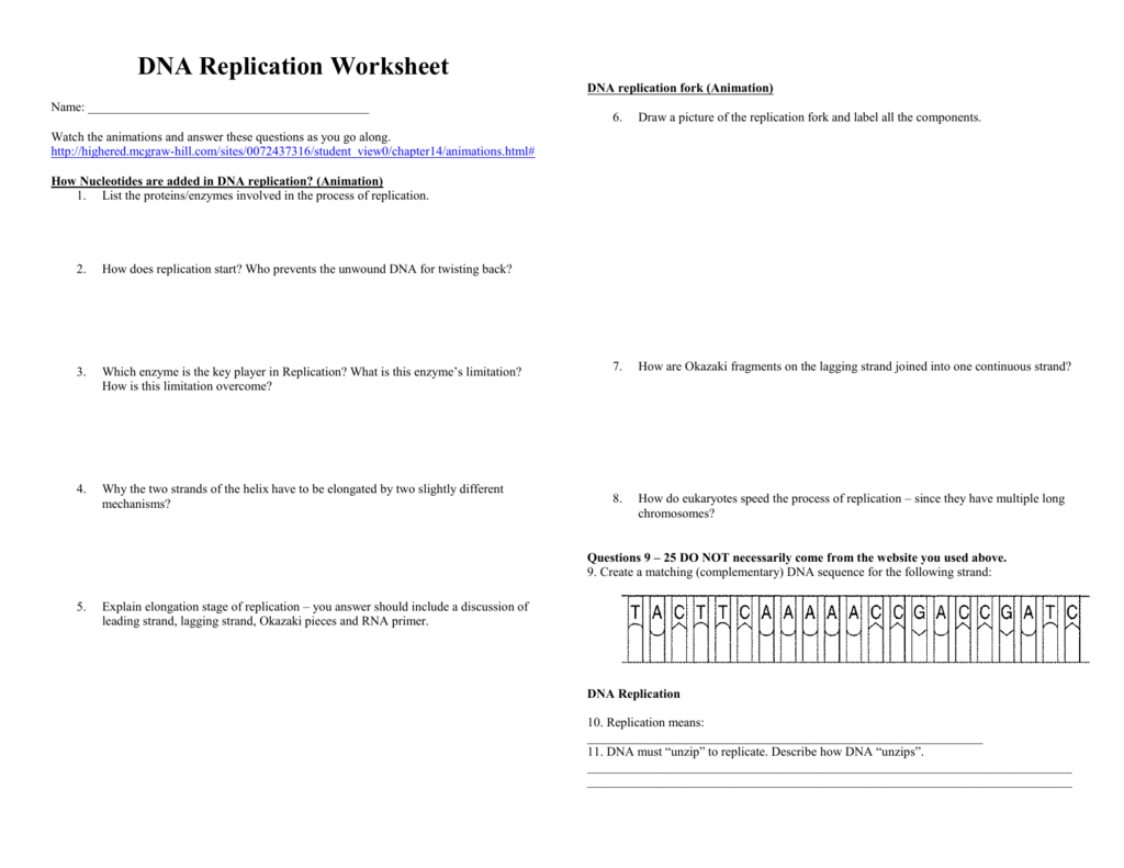 DNA replication worksheet – Watch the animations and answer Inside Dna Replication Worksheet Key