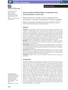 Hemincoupled iron(III)hydroxide nanoparticles show increased