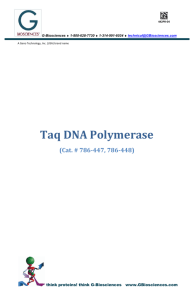 Taq DNA Polymerase - G