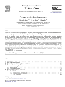 Progress in bioethanol processing