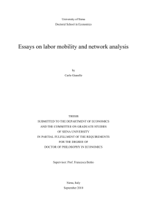 Essays on labor mobility and network analysis