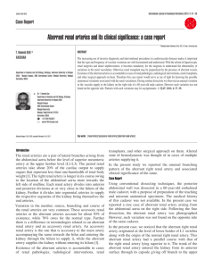 Aberrant renal arteries and its clinical significance: a case report