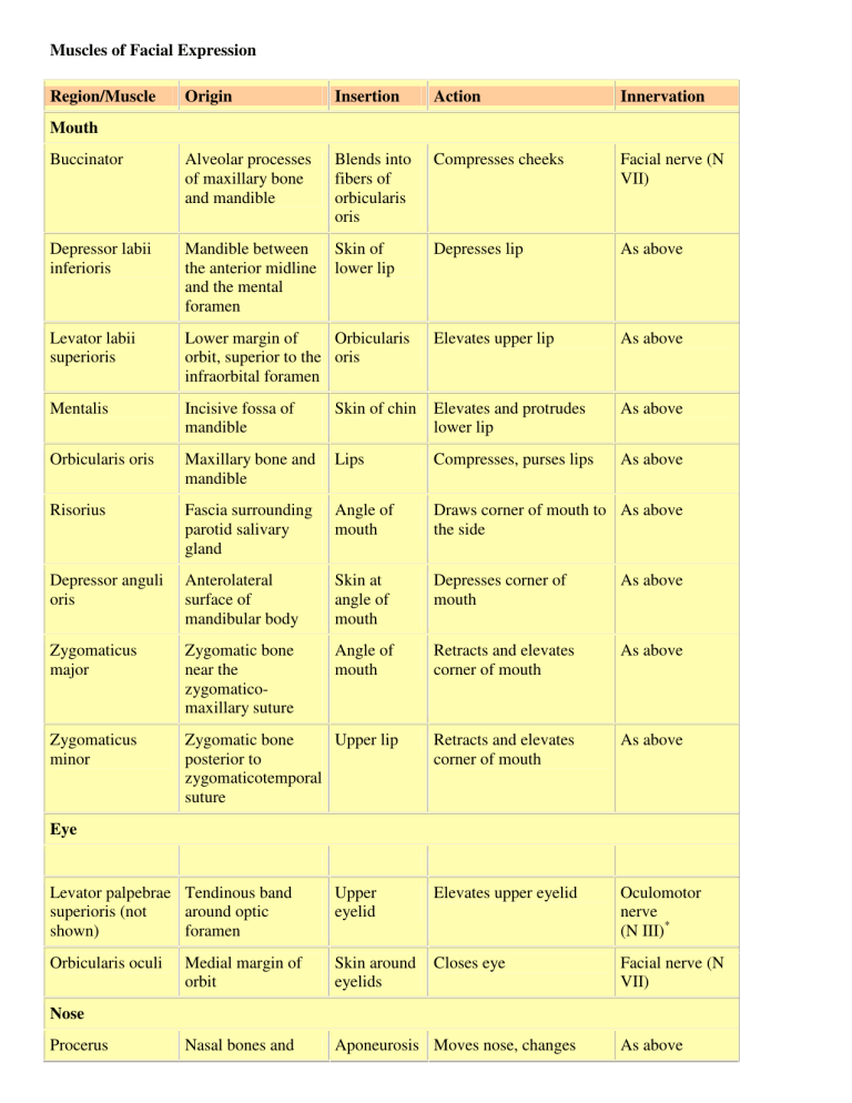 Origin And Action Of Muscles Chart