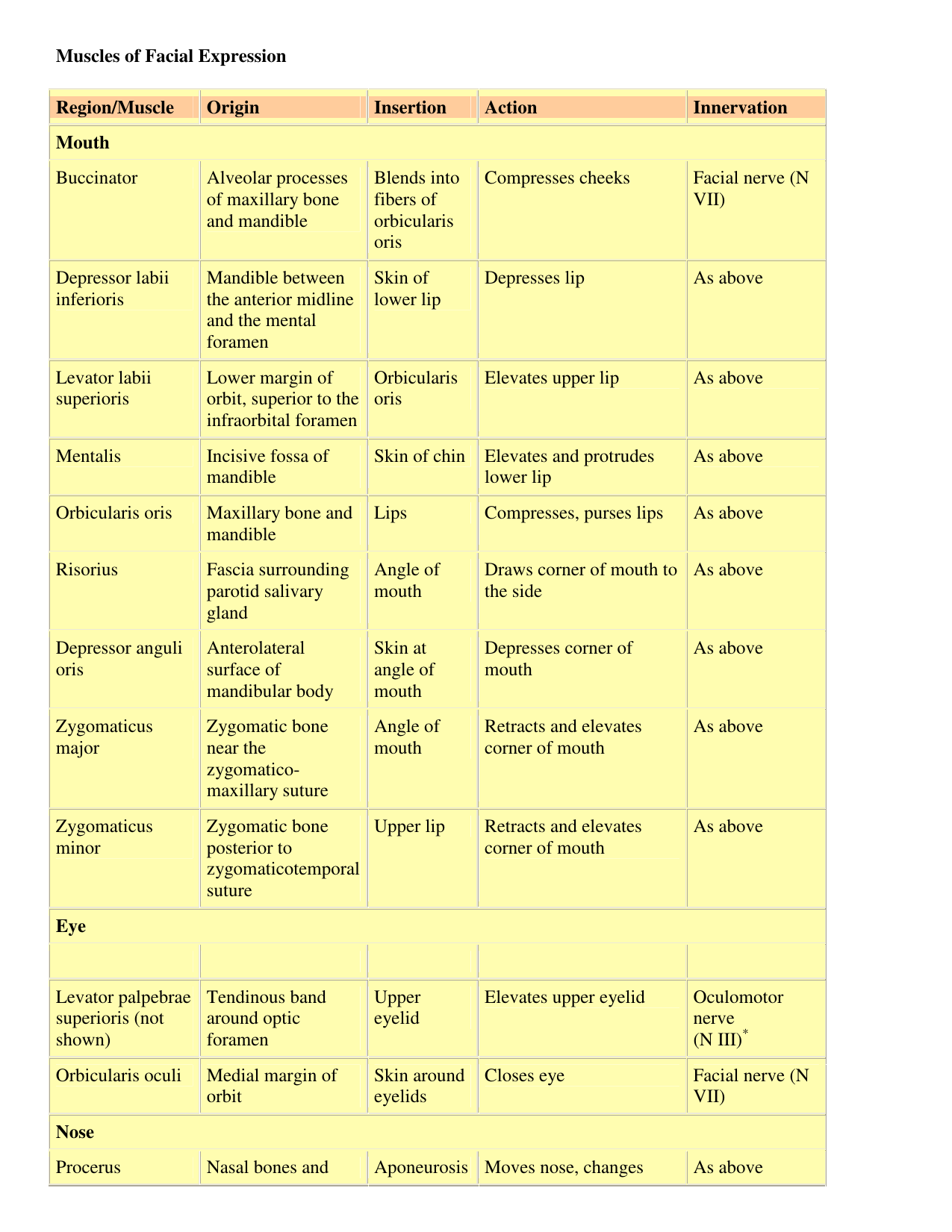 extrinsic foot muscles origin insertions