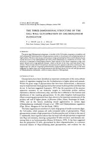 the three-dimensional structure of the cell wall glycoprotein of