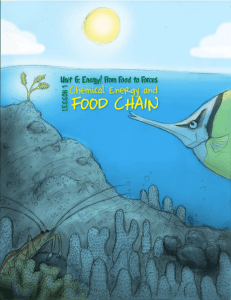 food chain - Hawaii Coral Reef Initiative