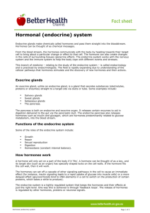 Hormonal (endocrine) system