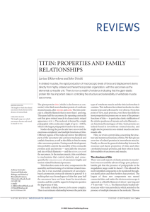 Titin_properties and family relationships