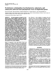 Evolutionary relationship of archaebacteria, eubacteria, and