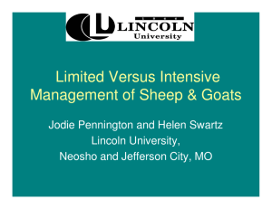 Limited Versus Intensive Management of Sheep & Goats