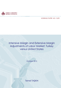 Intensive Margin and Extensive Margin Adjustments of