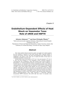 Endothelium-Dependent Effects of Heat Shock on Vasomotor Tone