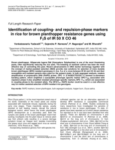 Identification of coupling- and repulsion