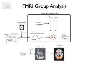FMRI Group Analysis