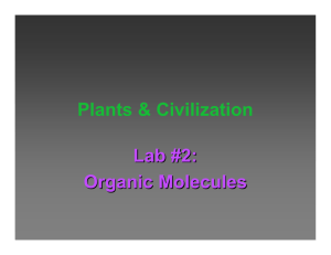 Plants & Civilization Lab #2: Organic Molecules