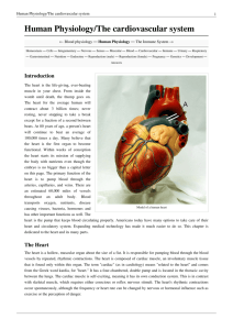 Human Physiology/The cardiovascular system