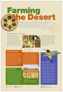 Farming the Desert