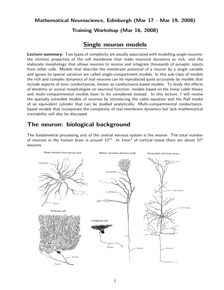 Single neuron models