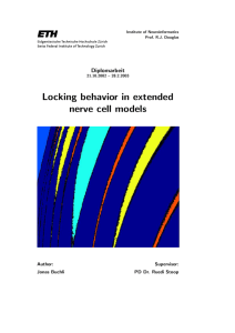 Locking behavior in extended nerve cell models