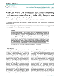 Mast Cell-Nerve Cell Interaction at Acupoint: Modeling