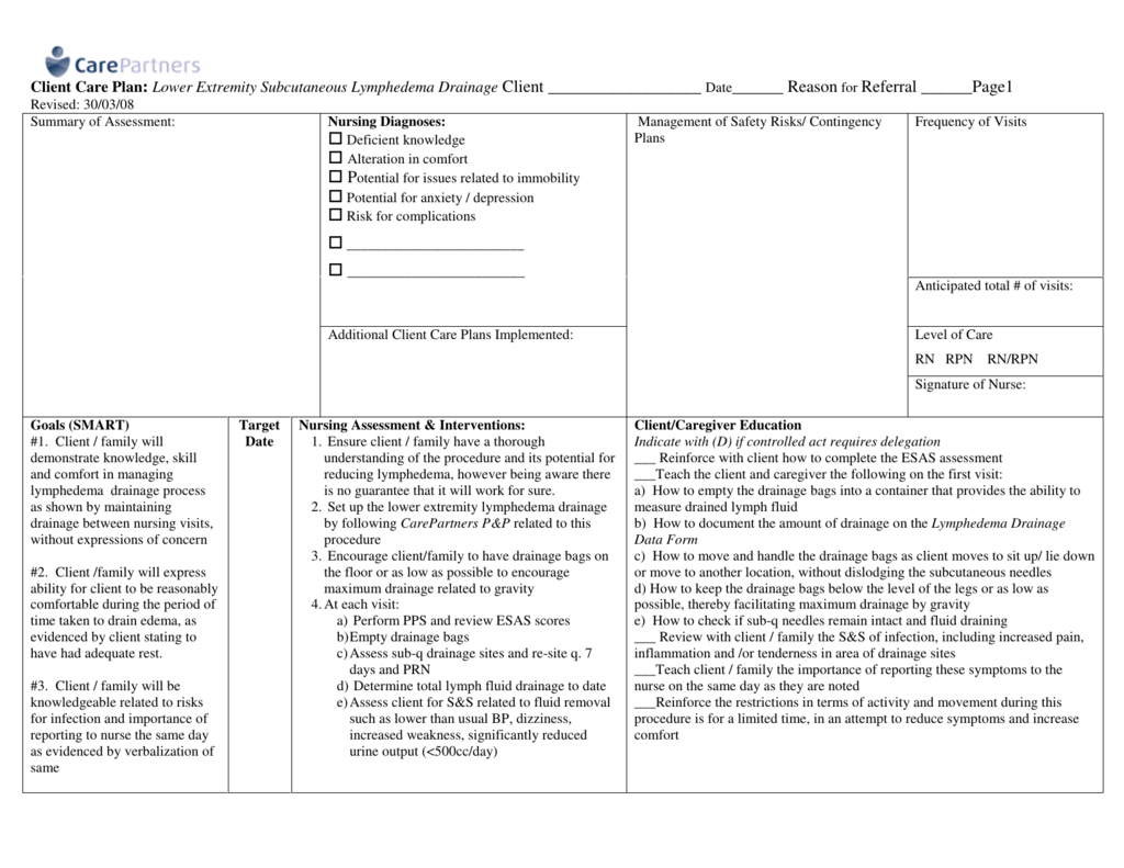 Client Care Plan Template