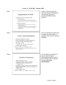 Regeneration of NAD+ Lactic Acid Fermentation