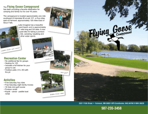 The Flying Goose Campground Recreation Center Activities