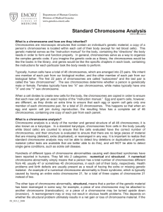Chromosome Analysis - Emory University Department of Human