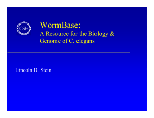 WormBase: