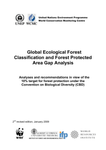 Global Ecological Forest Classification and Forest Protected Area
