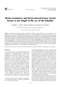 Brain asymmetry and facial attractiveness] Facial beauty