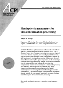 Hemispheric asymmetry for visual information processing
