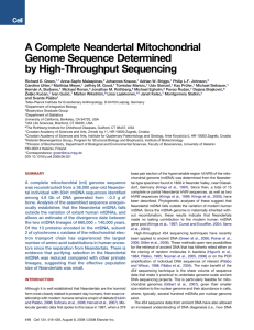 A Complete Neandertal Mitochondrial Genome Sequence