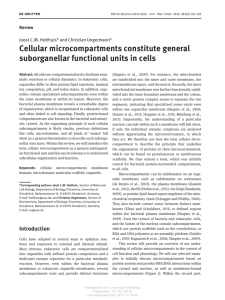 Cellular microcompartments constitute general suborganellar