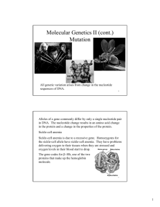 Molecular Genetics II (cont.) Mutation