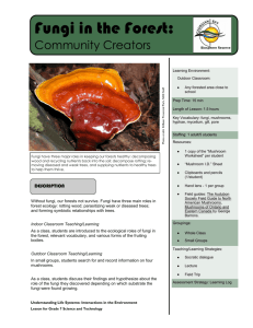 Fungi in the Forest: Community Creators