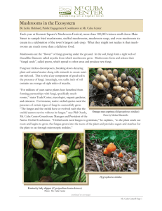 Mushrooms in the Ecosystem