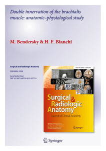Double innervation of the brachialis muscle: anatomic–physiological