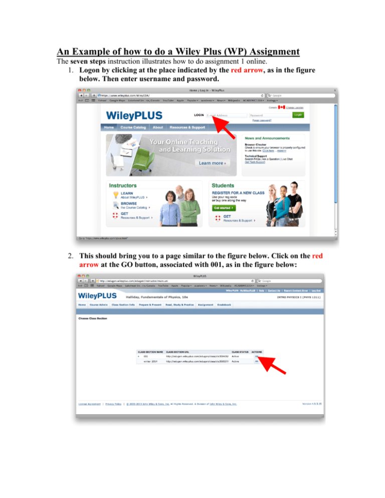 An Example Of How To Do A Wiley Plus WP Assignment